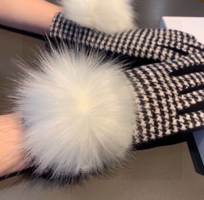 Christian Dior Gloves